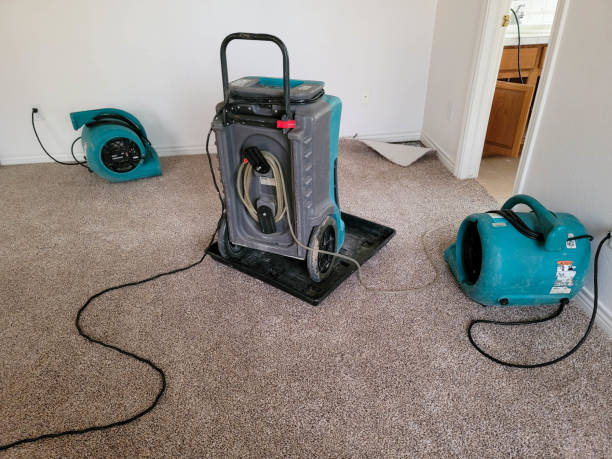 Water damage restoration insurance claims in Waldport, OR