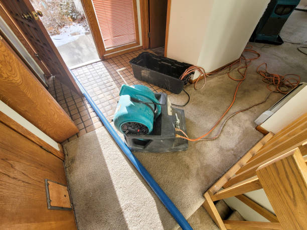 Best Mold removal after water damage  in Waldpt, OR