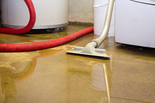 Best Water damage contractors near me  in Waldpt, OR
