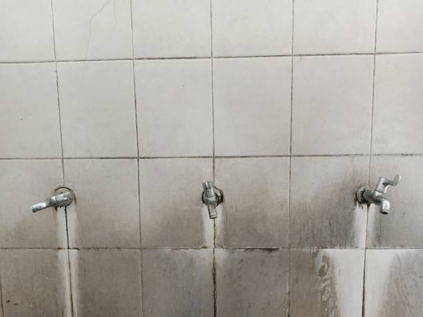 Best Water damage restoration insurance claims  in Waldpt, OR