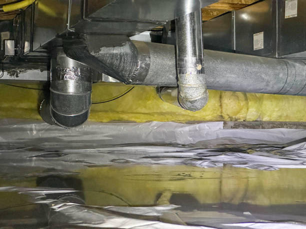 Best Local water damage restoration  in Waldpt, OR