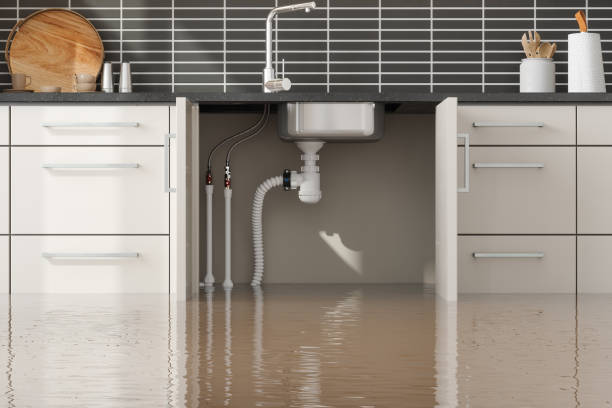 Trusted Waldport, OR Water damage restoration Experts