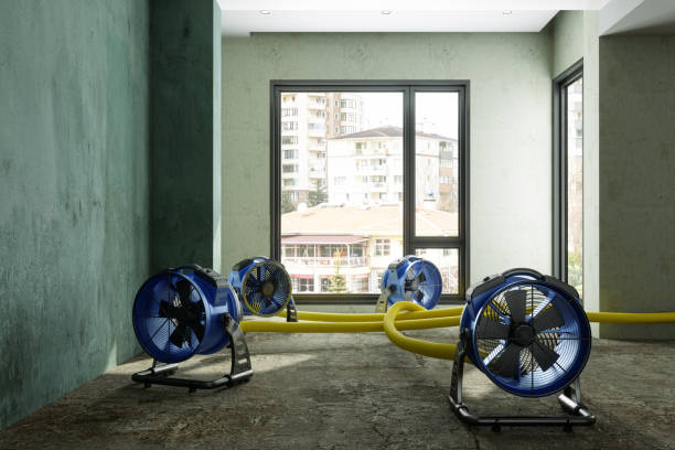Best Water damage contractors near me  in Waldpt, OR